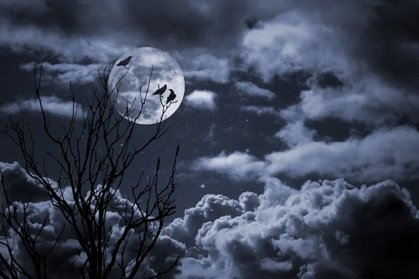 Luna llena de Halloween y cuervos —  Fotos de Stock