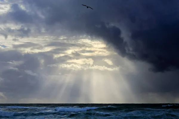 Облачный Морской Пейзаж Красивыми Солнечными Лучами — стоковое фото