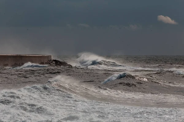 Dramatic View Leixoes Harbor North Wall Heavy Storm — Stock Photo, Image