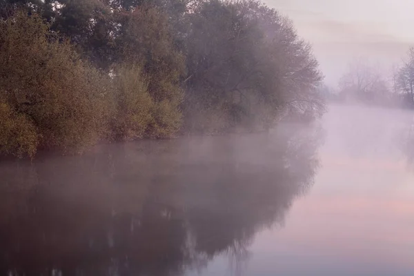 Curve Misty River Middle Dense Forest — Stock Photo, Image