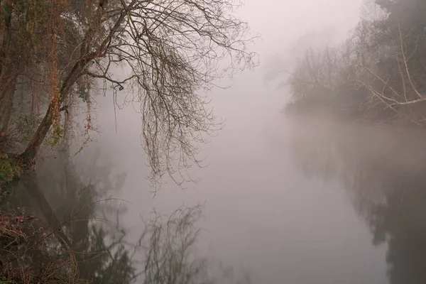 Misterioso Río Niebla Amanecer —  Fotos de Stock