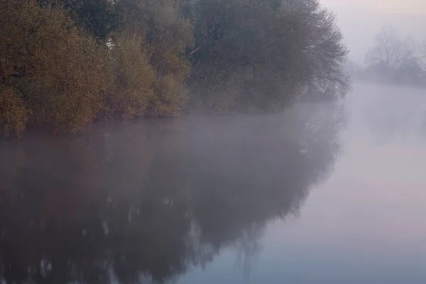 Curve Misty River Middle Dense Forest — Stock Photo, Image