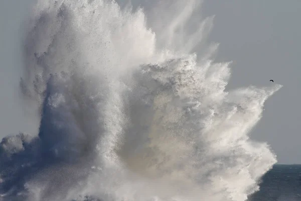 Salpicos Ondas Grandes Costa Norte Portugal — Fotografia de Stock