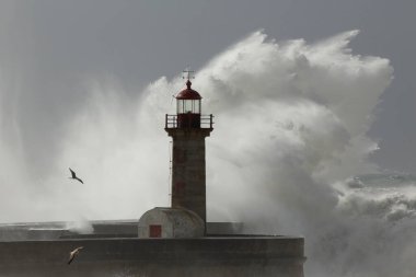 Büyük fırtınalı dalga sıçraması. Yaşlı Douro nehri ağzı deniz feneri ve iskele, Oporto.
