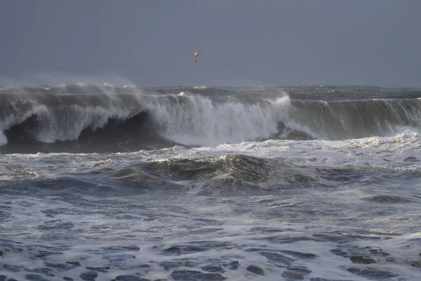 Vagues Mer Bruyantes Dans Une Journée Orageuse — Photo