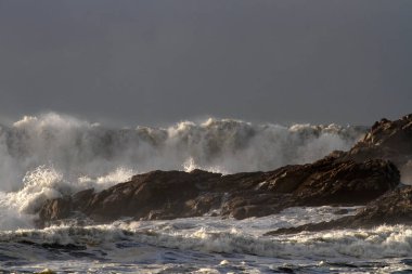 Fırtınalı bir günde dalgalı bir deniz dalgası.