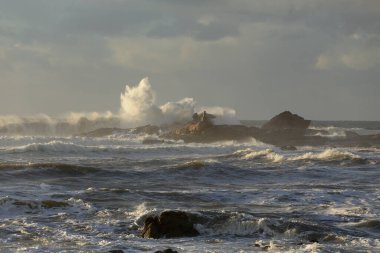 Kıyıdaki fırtına kayaların ve kayalıkların üzerinden büyük bir dalganın sıçrama ve püskürme gördüğünü gösteriyor.