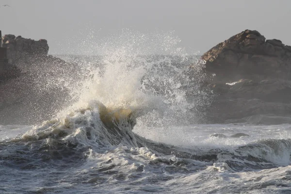 Zajímavá Krásná Mořská Vlna — Stock fotografie