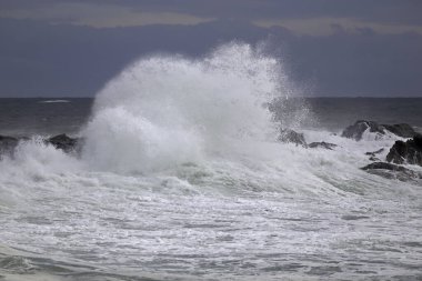Büyük fırtınalı deniz dalgaları kayaların üzerinde kırılıyor.