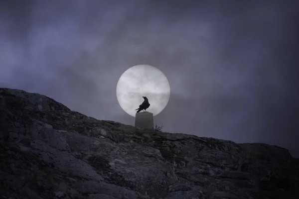 Corbeau Sur Une Marque Géodésique Contre Ciel Couvert Pleine Lune — Photo
