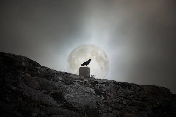 Crow Geodetic Landmarkmark Overcast Full Moon Sky — Stock Photo, Image