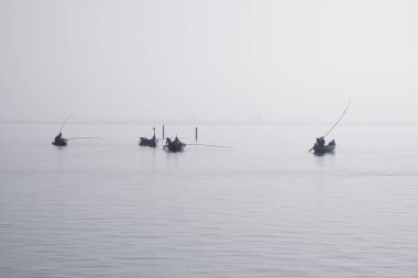 İş sırasında Ria de Aveiro geleneksel balıkçı tekneleri, Portekiz