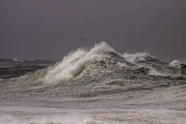 Enorme Tempestade Quebrando Onda Mar Contra Céu Escuro Costa Norte — Fotografia de Stock