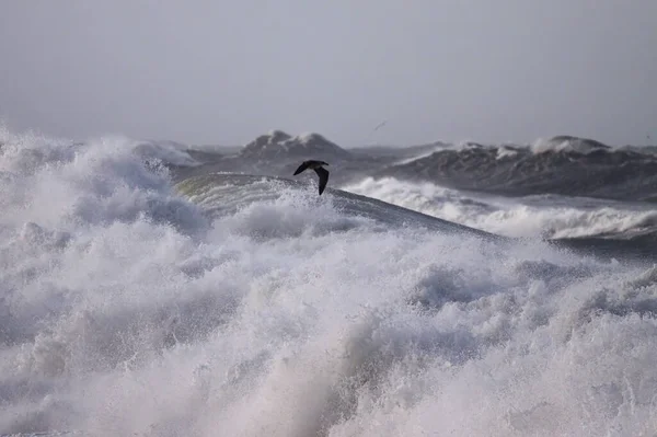 Raue See Mit Großer Brechender Welle Vordergrund Nordportugiesische Ciast — Stockfoto