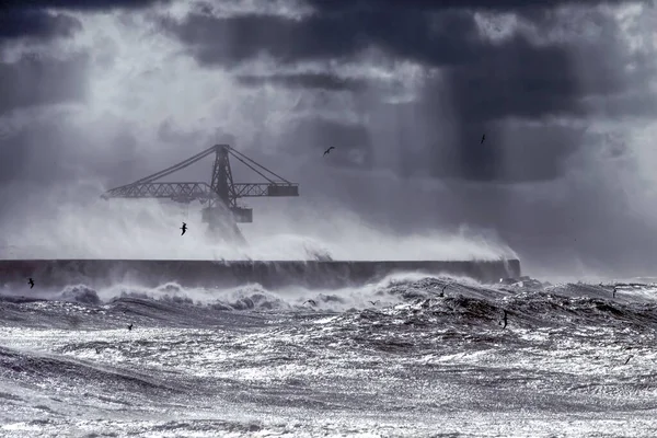 Cold Windy Morning Portuguese Coast — Stock Photo, Image