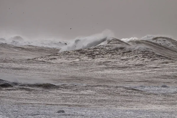 Hårt Hav Med Stora Vågor Vid Horisonten Norra Portugisiska Kusten — Stockfoto