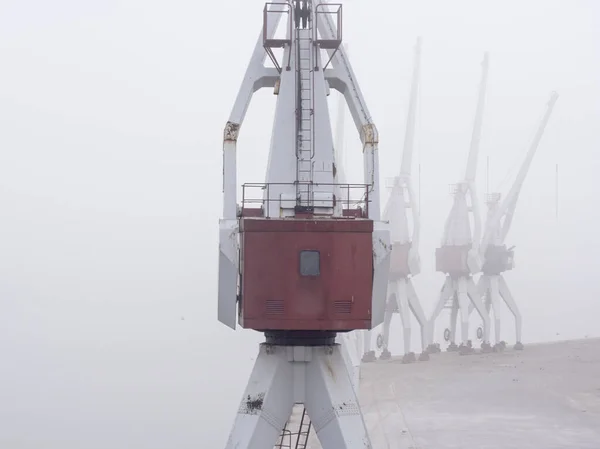 Grues Portuaires Dans Une Matinée Brumeuse — Photo