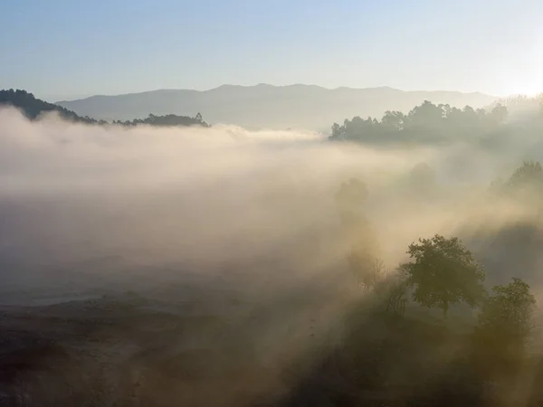 Mountain at dawn with clouds, fog light rays and trees. Peneda Geres National Park at dawn.