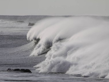Rüzgâr spreyli büyük bir dalga. Leixoes yakınlarında kuzey duvarı, Portekiz.