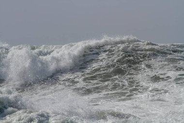 Fırtınalı bir deniz dalgası. Kuzey Portekiz kıyıları.