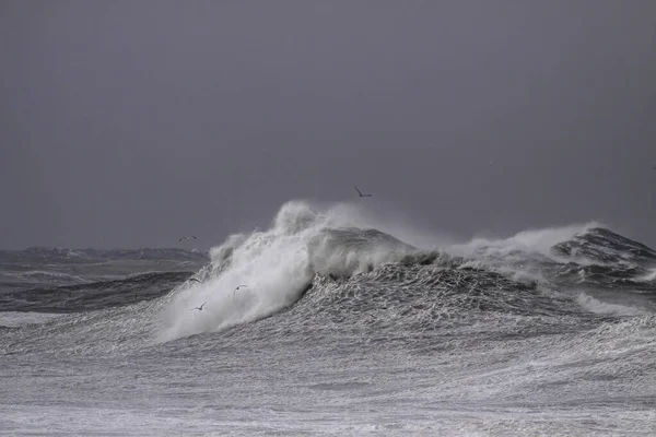 在漆黑的天空中 汹涌澎湃的海浪汹涌而来 冬季的北部葡萄牙海岸 — 图库照片