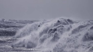 Büyük fırtınalı bir deniz dalgası çarptı. Kuzey Portekiz kıyıları. Ton mavisi.