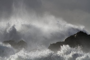 Kıyıdaki fırtına kayaların ve kayalıkların üzerinden büyük bir dalganın sıçrama ve püskürme gördüğünü gösteriyor.