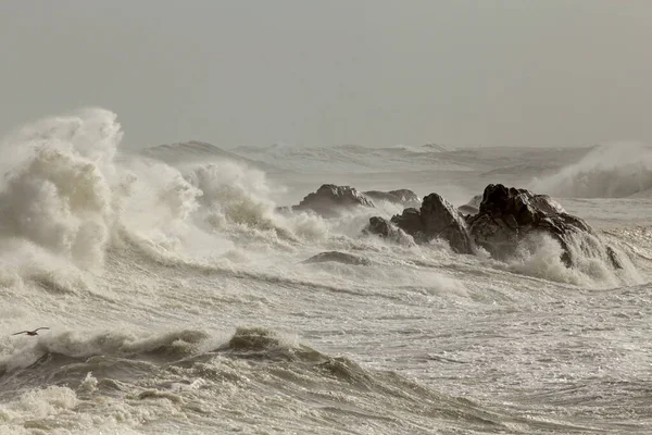 Grote Stormachtige Zee Golven Breken Rotsen — Stockfoto