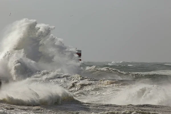 Grote Stormachtige Golf Plons Douro Riviermonding Nieuwe Noordpier Porto Portugal — Stockfoto