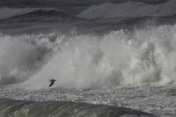 大浪汹涌的海浪 秋季期间的北部葡萄牙海岸 — 图库照片