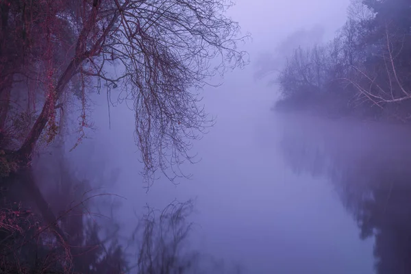 Gruselig Nebliger Fluss Der Nacht Langzeitbelichtung — Stockfoto