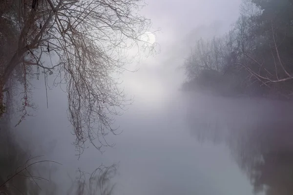 Foggy River Full Moon Night — Stock Photo, Image