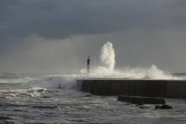 Ave Embouchure Rivière Avant Tempête Pluie Soir Vila Conde Nord — Photo