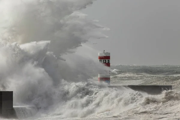 폭풍우가 몰아쳤어 새로운 포르투갈 포르투 — 스톡 사진