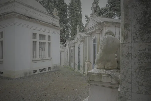 Starý Evropský Hřbitov Který Viděl Popředí Nahou Sochu Ženy Historický — Stock fotografie