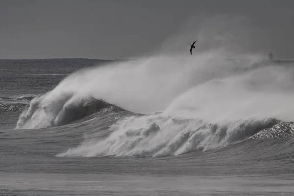 Grande Onda Rottura Con Spray Vento Vicino Porto Leixoes Parete — Foto Stock