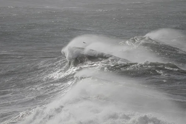 Grande Onda Tempestuosa Com Spray Vento Costa Norte Portugal — Fotografia de Stock