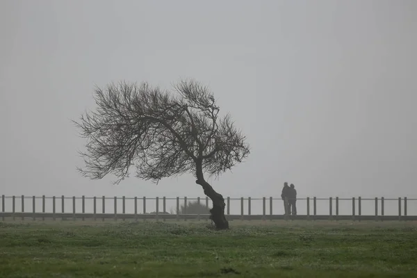 夫婦は冬に海のそばを歩く ポルトガル北部の海岸 — ストック写真
