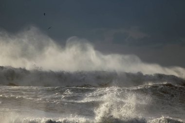 Rüzgar püskürten büyük fırtınalı dalgalar.