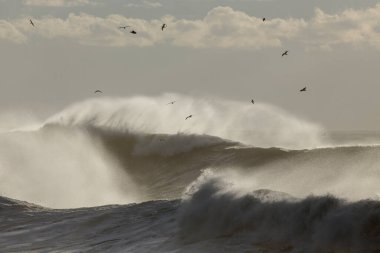 Rüzgar püskürten büyük fırtınalı dalgalar.