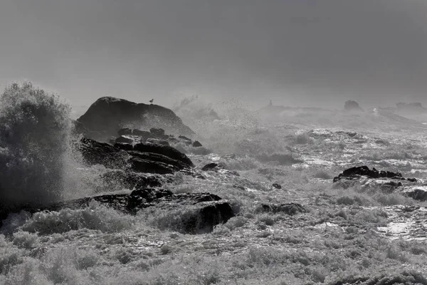 Paysage Marin Sombre Hiver Dans Une Journée Mer Agitée Voir — Photo