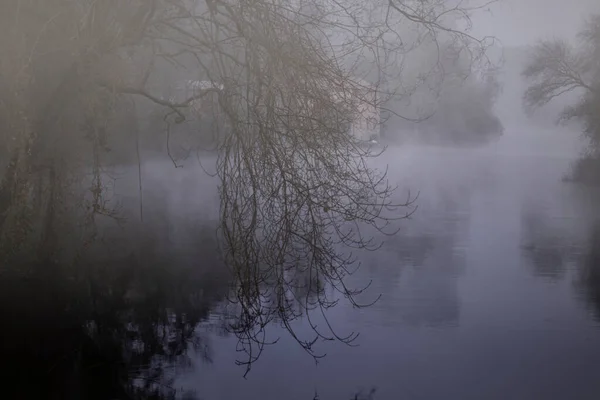 Mysteriöser Nebliger Waldfluss Bei Nacht Mit Wassermühle — Stockfoto