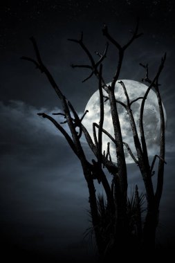 Dallardan yükselen dolunaylı ağaç