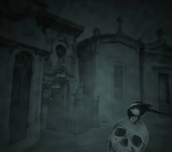 人間の頭蓋骨の上のカラスは霧深い夜に墓地の背景に残っている — ストック写真