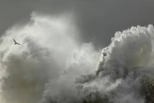 Enormi Onde Tempestose Del Mare Schizzano — Foto Stock