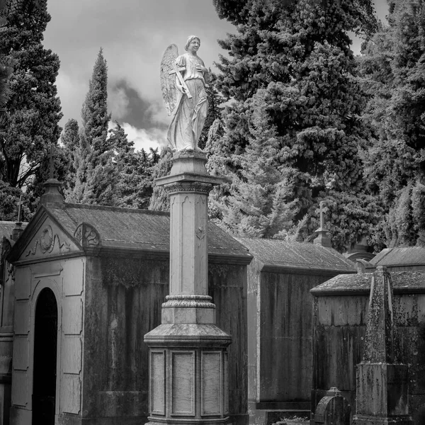 Estatua Del Ángel Del Cementerio Medio Tumbas Antiguas Forma Capillas —  Fotos de Stock