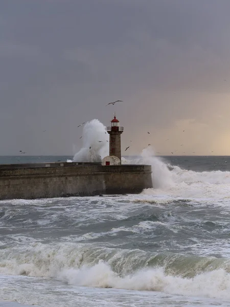 Cloudy Sunset Mouth Douro River Porto Portugal Stock Picture