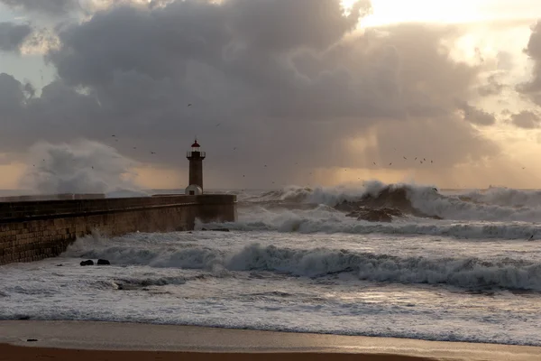 Capa marinha de inverno — Fotografia de Stock