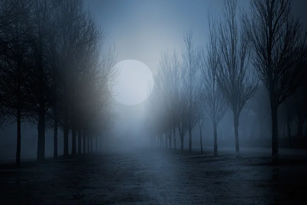 Foggy full moon night — Stock Photo, Image