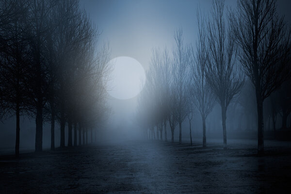 Foggy full moon night in a park with naked trees